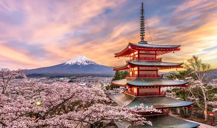 Tokyo’s Top Gems: Must-Visit Attractions