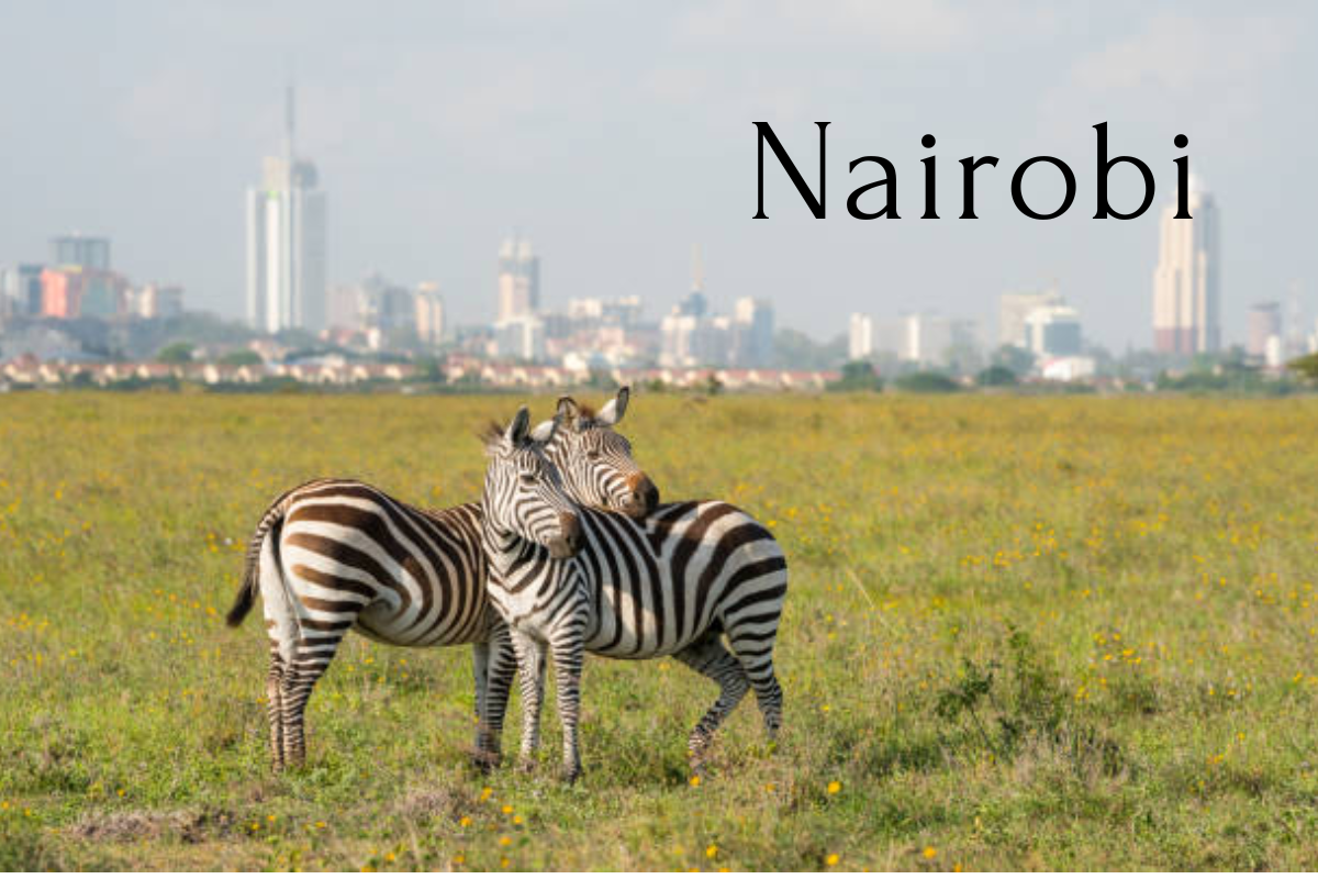 The Ultimate Travel Guide to Exploring Nairobi’s Hidden Gems